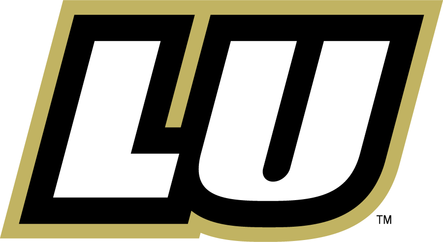 Lindenwood Lions 2010-2018 Wordmark Logo v2 diy DTF decal sticker